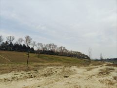 -洨河生态公园