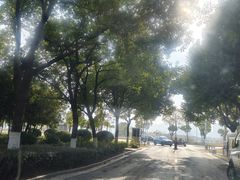 -金银湖国家城市湿地公园