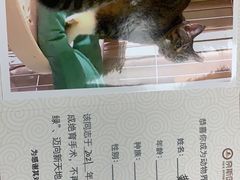 -奈斯宠物医院·核磁CT·异宠专科·内镜(中南店)