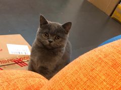 -糖樂門(惠山万达店)