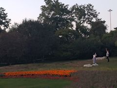 -丰台花园
