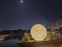 -洋湖国家湿地公园