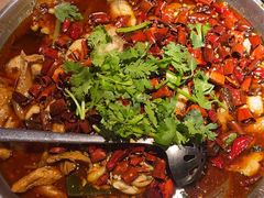 -胡马八破·川菜小馆(宽厚里店)
