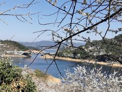 -广州市流溪河国家森林公园