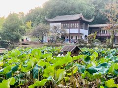 -团城山公园