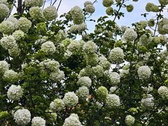 -大龙山(地铁站)