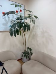 -HEYAN荷妍专业脱毛连锁机构