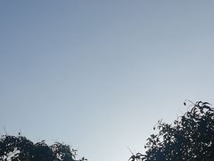 -潮福城大酒楼(北尚店)