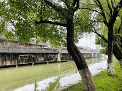 -乌镇景区