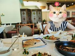 -白云中餐厅·粤菜·亚龙湾喜来登度假酒店