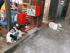 门面-杨厝六十六农庄农舍(杨厝路店)