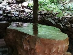 -本溪汤沟绿石谷森林公园
