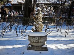 -故宫博物院(故宫)