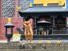 -超山青莲寺