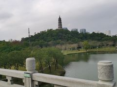 -顺峰山公园