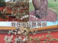 -北京市劳动人民文化宫(太庙)