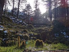 -硗碛藏寨·神木垒景区