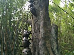 -东部华侨城