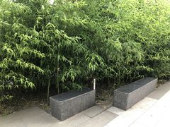 -DF游泳健身(贾家花园店)
