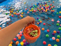 -萌宠亲子动物乐园(槐房万达店)