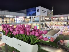 -首创奥特莱斯(北京店)