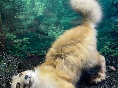 -天津自然博物馆