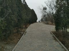 -水池山公园