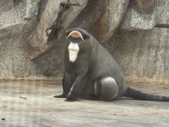 -石家庄市动物园