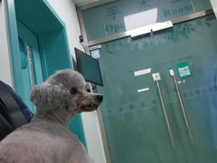 -北京观赏动物医院·24小时大型综合·猫专科·异宠专科