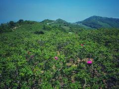 -阳台山自然风景区