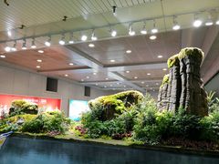 -福州长乐国际机场