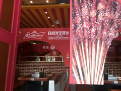 -邢氏老太太烤串(北兴街店)