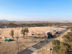 -春花秋色城市公园