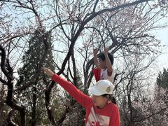 -府君山公园