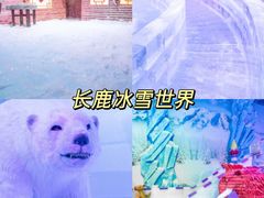-长鹿旅游休博园