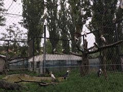 景点-北京动物园