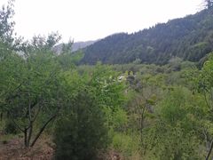 -北京十三陵国家森林公园蟒山景区