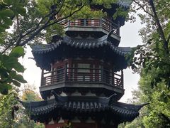 -上海佘山国家森林公园西佘山园