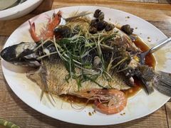 -东鸽皇(奥园·中环广场店)