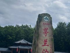 -茅兰沟国家森林公园