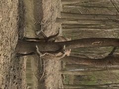 iphone_upload_pic-溱湖国家湿地公园