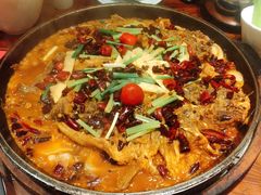 -老板恋上鱼(荣盛广场店)