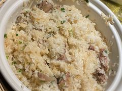 大鸽饭-大鸽饭(体育西路店)