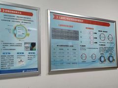 -上海大学附属上海和平眼科医院