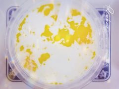 窝蛋奶-百花传统甜品店(原址店)