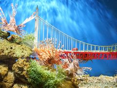 -太平洋海底世界