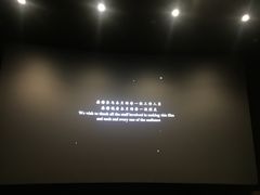 放映厅-百美汇影城(LUXE嘉里中心店)