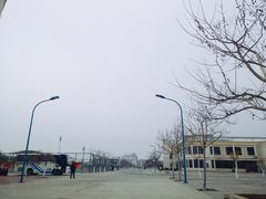 -南开大学滨海学院