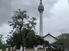 -龟山风景区-龟山电视塔
