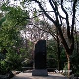 灵隐禅踪
